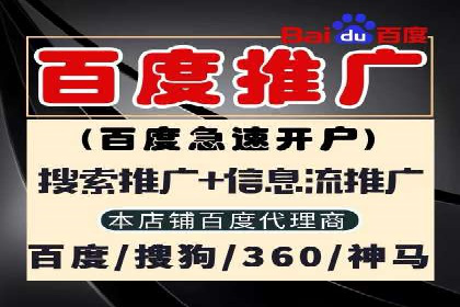 成功之道：竞价推广公司经典案例分析